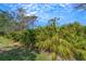 Landscaping featuring mature, lush palm-like vegetation, adding privacy and tropical ambiance to the property at 4811 Summertree Rd, Venice, FL 34293