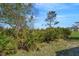 Landscaping featuring mature, lush palm-like vegetation, adding privacy and tropical ambiance to the property at 4811 Summertree Rd, Venice, FL 34293