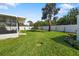 Expansive backyard featuring a tall palm tree and well-maintained lawn, perfect for outdoor activities and relaxation at 6320 Tilly St, Englewood, FL 34224