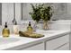 Close-up of bathroom counter with dual sinks, neutral decor and fresh greenery at 8619 Firefly Pl, Parrish, FL 34219