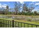 Serene view of the pond with mature trees and green vegetation, creating a tranquil natural setting at 8619 Firefly Pl, Parrish, FL 34219