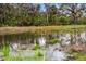 Picturesque pond surrounded by lush vegetation, offering a serene and natural backdrop at 8619 Firefly Pl, Parrish, FL 34219