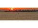 A beautiful sunset casts a warm glow on the water, with a bird soaring above the city skyline at 35 Watergate Dr # 1101, Sarasota, FL 34236