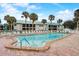 Community pool surrounded by lush palm trees and comfortable lounge chairs, ideal for relaxation at 5665 Midnight Pass Rd # 410, Sarasota, FL 34242
