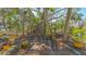 Beautiful backyard featuring a charming bench under a sprawling banyan tree at 813 Plymouth St, Sarasota, FL 34242