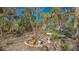 Backyard garden with bird bath and colorful plants surrounded by natural foliage at 813 Plymouth St, Sarasota, FL 34242