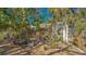 Landscaped backyard with a decorative white arbor, surrounded by tropical plants at 813 Plymouth St, Sarasota, FL 34242