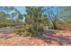 Brick driveway featuring lush tropical landscaping and classic white picket fence at 813 Plymouth St, Sarasota, FL 34242