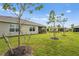 Spacious backyard with well-maintained lawn and young trees at 1524 Remington Trace Dr, Port Charlotte, FL 33953