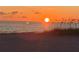 Beautiful sunset view on the ocean, with beach and plant life at 5581 Gulf Of Mexico Dr, Longboat Key, FL 34228