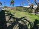 Lush backyard with vibrant green grass and palm trees, offers plenty of room at 604 Dundee Ln, Holmes Beach, FL 34217