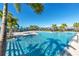 Beautiful community pool surrounded by mature palm trees and lounge chairs at 11531 Moonsail Dr, Parrish, FL 34219