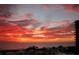 Vibrant sunset casting a fiery glow across the sky and ocean with silhouettes of palm trees at 1211 Gulf Of Mexico Dr # 207, Longboat Key, FL 34228