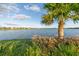 Scenic lake view framed by a palm tree and lush vegetation, providing a tranquil natural backdrop at 17610 Polo Trl, Bradenton, FL 34211