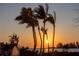 Palm trees silhouetted against a beautiful sunset over the water, creating a peaceful and serene scene at 3935 N Shell Rd, Sarasota, FL 34242