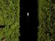 Striking overhead view of a sailboat navigating a dark canal surrounded by lush greenery at 10494 Atenia St, Port Charlotte, FL 33981