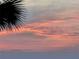 Dramatic sunset sky with colorful clouds as seen through palm fronds at 11 Sunset Dr # 303, Sarasota, FL 34236