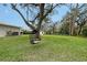 Expansive backyard featuring a hanging chair beneath mature trees and lush green grass at 4045 Lisbon Pl, Sarasota, FL 34231