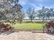Expansive backyard view showcasing lush greenery and mature trees, visible from the brick patio at 4744 105Th E Ave, Parrish, FL 34219