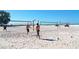 People enjoy playing volleyball on a sunny day at the beach with nets and lush greenery at 5525 Shadow Lawn Dr, Sarasota, FL 34242
