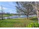 Grassy backyard with large tree and access to a pond, creating a peaceful outdoor setting at 7108 Callander Cv, Lakewood Ranch, FL 34202