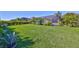 Lush backyard with well-maintained lawn, tropical trees, and a screened pool enclosure for outdoor enjoyment at 4516 Renwick Dr, Parrish, FL 34219