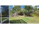 View of backyard with lush green grass and natural landscaping at 629 Sawgrass Bridge Rd, Venice, FL 34292