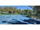 Outdoor community pickleball court surrounded by lush trees and scenic views at 629 Sawgrass Bridge Rd, Venice, FL 34292