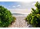 Scenic beach access through lush greenery leading to the tranquil ocean, perfect for relaxing walks and enjoying the sunshine at 2720 Butterfly Jasmine Trl, Sarasota, FL 34240