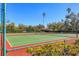Well-maintained tennis courts nestled in a vibrant community setting at 3825 Wilshire Cir # 1, Sarasota, FL 34238