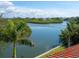 Water view showcases a stunning waterfront property with lush greenery at 4205 Higel Ave, Sarasota, FL 34242