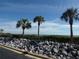 Exterior landscaping featuring palm trees, rocks, and manicured shrubbery at 4555 Bay Club Dr # 22, Bradenton, FL 34210