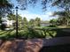 Scenic pond view, surrounded by lush greenery and mature trees at 4555 Bay Club Dr # 22, Bradenton, FL 34210
