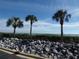 Scenic waterfront view featuring palm trees, lush greenery, and a rocky shoreline under a bright blue sky at 4555 Bay Club Dr # 22, Bradenton, FL 34210