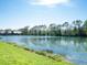 Scenic view of a serene pond, surrounded by lush greenery and clear blue skies at 6316 Walton Heath Pl, University Park, FL 34201