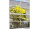 Window view of trees and another house at 8364 Sea Glass Ct, Sarasota, FL 34240