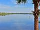 Calm water view framed by a palm tree at 9460 Discovery Ter # 202D, Bradenton, FL 34212