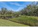 Picturesque view of pond surrounded by lush greenery and mature trees on a sunny day at 10802 Seasons Way, Palmetto, FL 34221