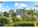 Scenic water view showcasing lush tropical landscaping and high-rise buildings in the distance at 116 Garden Ln, Sarasota, FL 34242