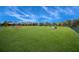 A vast green dog park under a clear blue sky provides ample space for recreation and canine exercise at 12022 Medley Ter, Lakewood Ranch, FL 34211