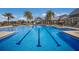 Wide shot of a community pool featuring clear blue water, lounge chairs, umbrellas, and palm trees for a resort-like atmosphere at 12022 Medley Ter, Lakewood Ranch, FL 34211