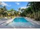 Sparkling pool surrounded by lush palm trees, creating a tropical paradise for relaxation and enjoyment at 2305 Pine Ter, Sarasota, FL 34231