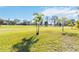 Lush backyard with a young palm and mature trees, offering a serene outdoor setting at 3876 Torrey Pines Blvd, Sarasota, FL 34238