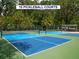 Image of the 10 pickleball courts available for community members at 3982 Chatsworth Greene # 37, Sarasota, FL 34235