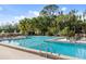 Inviting outdoor swimming pool with clear blue water, framed by palm trees, lounge chairs, and tropical greenery at 49 Osprey Point Dr, Osprey, FL 34229