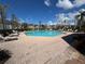 Community pool surrounded by lounge chairs and palm trees at 5560 Rosehill Rd # 105, Sarasota, FL 34233