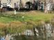 Lush green yard with pond and wildlife at 5560 Rosehill Rd # 105, Sarasota, FL 34233