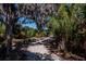 Picturesque gravel walking path surrounded by lush greenery and mature trees, ideal for nature lovers at 581 Mast Dr, Bradenton, FL 34208