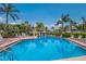 Gorgeous swimming pool surrounded by palm trees and lounge chairs at 600 Manatee Ave # 114, Holmes Beach, FL 34217