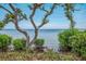 Peaceful water view framed by beautiful trees and shrubbery, creating a tranquil scene at 600 Manatee Ave # 114, Holmes Beach, FL 34217